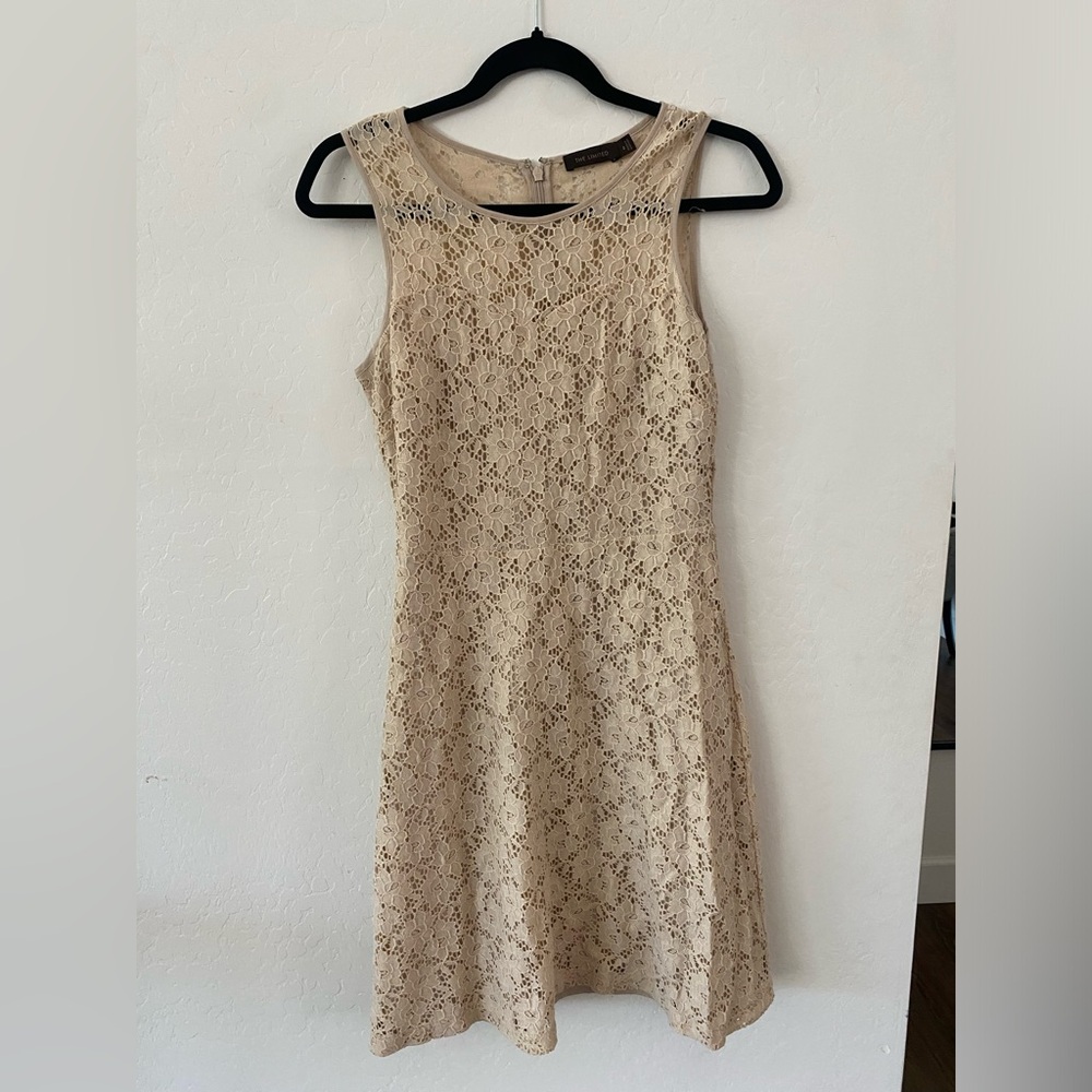 the limited dress